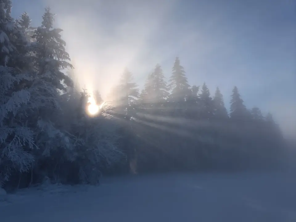 Le soleil perce la brume à travers les sapins enneigés, à Gérardmer